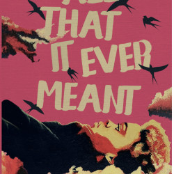 All That It Ever Meant by Blessing Musariri - Paperback