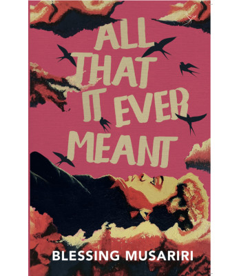 All That It Ever Meant by Blessing Musariri - Paperback