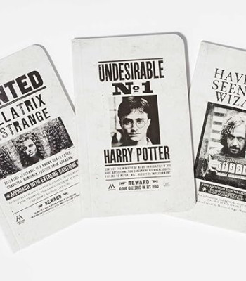 Harry Potter: Wanted Posters Pocket Notebook Collection by Insight Editions