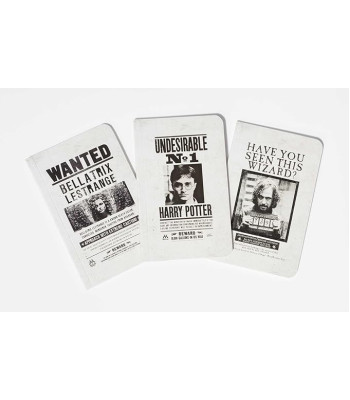 Harry Potter: Wanted Posters Pocket Notebook Collection by Insight Editions