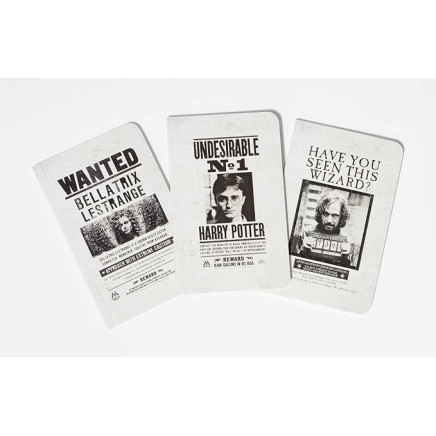 Harry Potter: Wanted Posters Pocket Notebook Collection by Insight Editions