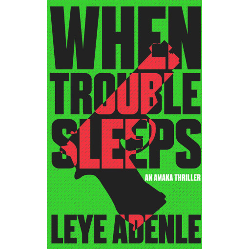 When Trouble Sleeps by Leye Adenle - Paperback