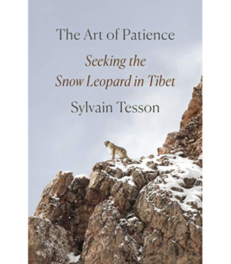 The Art of Patience: Seeking the Snow Leopard in Tibet by Tesson, Sylvain - Hardback 