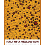Half of A Yellow Sun by Chimamanda Ngozi Adichie