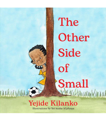 The Other Side of Small by Yejide Kilanko
