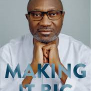 Making It Big: Lessons from a Life in Business by Femi Otedola - Paperback