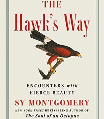 The Hawk's Way: Encounters With Fierce Beauty by Montgomery, Sy-Hardcover