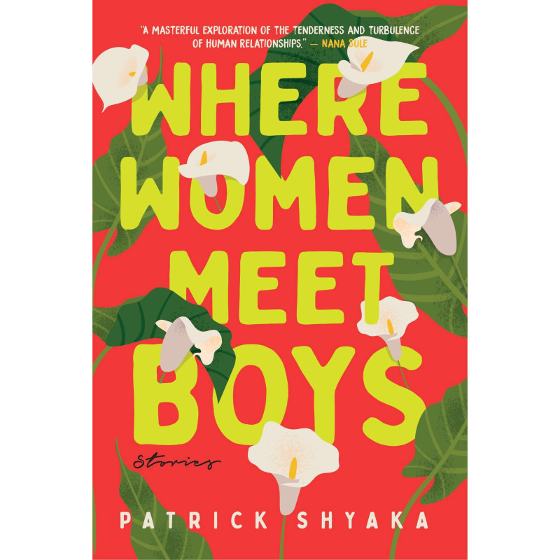 Where Women Meet Boys By Patrick Shyaka- Paperback - 21 May 2025