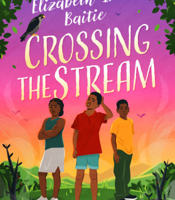 Crossing the Stream Elizabeth-Irene Baitie - Paperback 