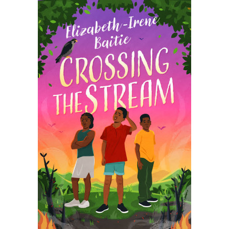 Crossing the Stream Elizabeth-Irene Baitie - Paperback 