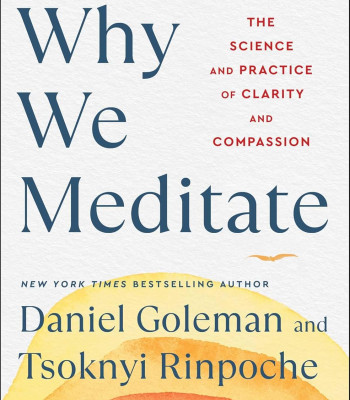 Why We Meditate: The Science and Practice of Clarity and Compassion by Goleman, Daniel Rinpochi, Tsoknyi 