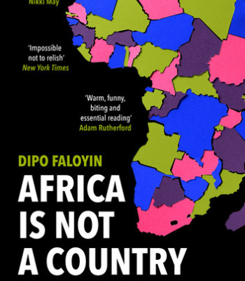 Africa is Not A Country: Breaking Stereotypes of Modern Africa by Dipo Faloyin - Paperback