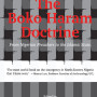 The Boko Haram Doctrine by Abdulbassit Kassim - Paperback
