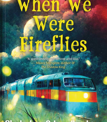 When We Were Fireflies by Abubakar Adam Ibrahim - Paperback 