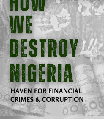 How We Destroy Nigeria: Haven for Financial Crimes & Corruption by John Walker Adetunji-Adeoye - Paperback 
