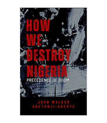How We Destroy Nigeria: Precedence of Doom by John Walker Adetunji-Adeoye - Paperback 
