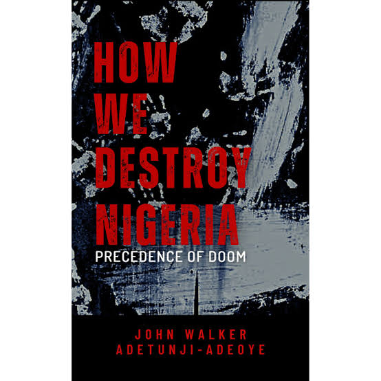 How We Destroy Nigeria: Precedence of Doom by John Walker Adetunji-Adeoye - Paperback 