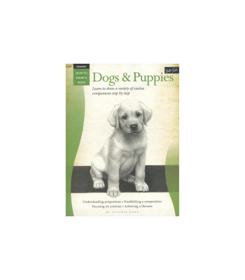 Dogs & Puppies (How to Draw & Paint) by Cynthia Knox - Paperback