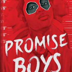 Promise Boys by Nick Brook - Paperback 