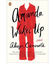 Amanda Wakes Up by Camerota, Alisyn-Paperback