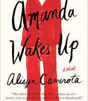 Amanda Wakes Up by Camerota, Alisyn-Paperback