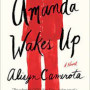 Amanda Wakes Up by Camerota, Alisyn-Paperback