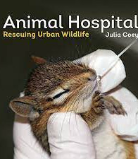 Animal Hospital: Rescuing Urban Wildlife by Coey, Julia