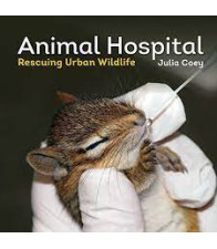 Animal Hospital: Rescuing Urban Wildlife by Coey, Julia