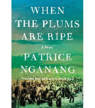 When the Plums Are Ripe by Patrice Nganang - Hardback