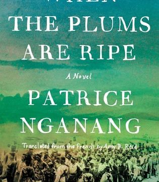 When the Plums Are Ripe by Patrice Nganang - Hardback