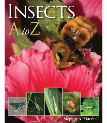 Insects A to Z by Stephen Marshall - Paperback