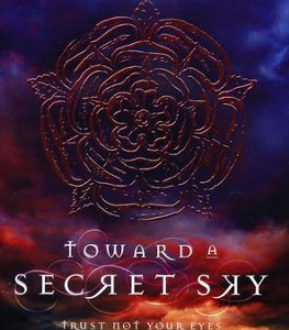 Toward a Secret Sky (Blink) by Maclean, Heather-Hardcover