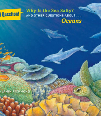 Why Is the Sea Salty?: And Other Questions About Oceans (Good Question!) by Richmond, Benjamin