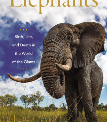 Elephants: Birth, Life, and Death in the World of the Giants by Mumby, Hannah,-Hardcover