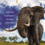 Elephants: Birth, Life, and Death in the World of the Giants by Mumby, Hannah,-Hardcover