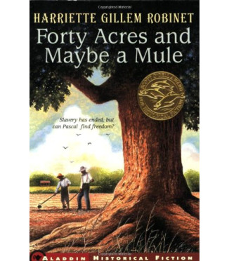 Forty Acres and Maybe a Mule by Robinet, Harriet Gillem