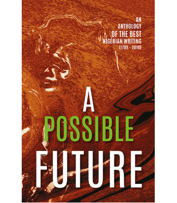 A Possible Future: An Anthology of the Best Nigerian Writing by Farafina Trust - Paperback