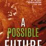 A Possible Future: An Anthology of the Best Nigerian Writing by Farafina Trust - Paperback