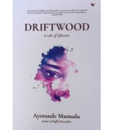 Driftwood : A Tale Of Leftovers by Ayotunde Mamudu Paperback