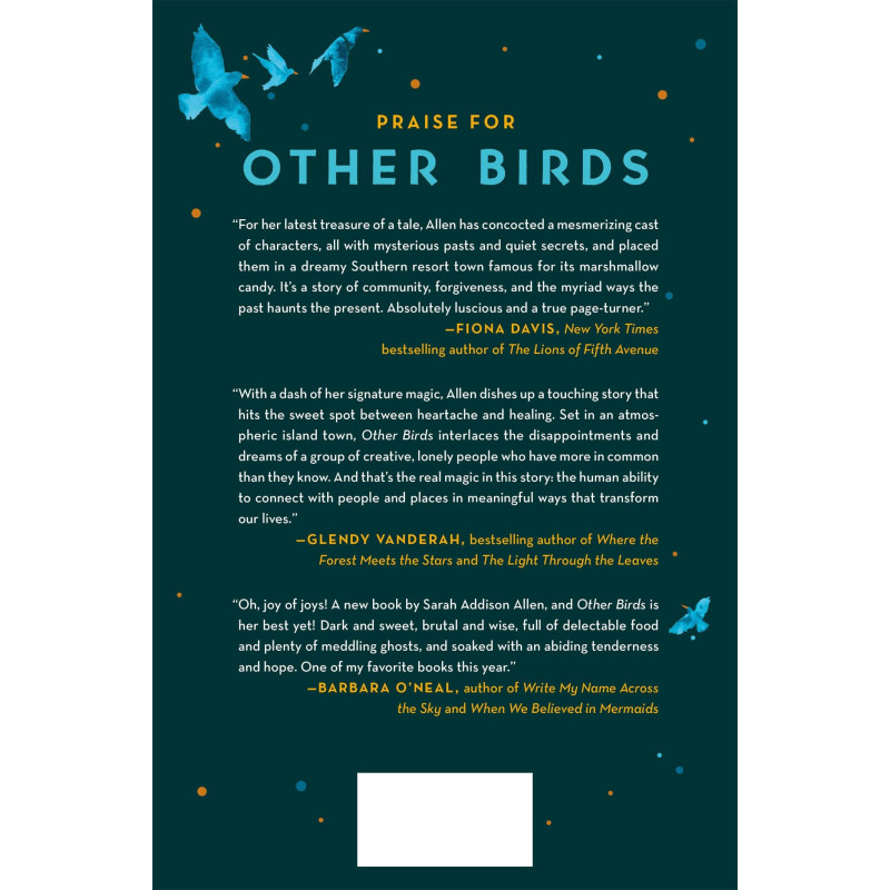 Other Birds: A Novel by Sarah Addison Allen - Hardback - August 30, 2022