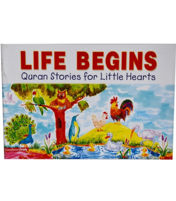 Life Begins - Hardback