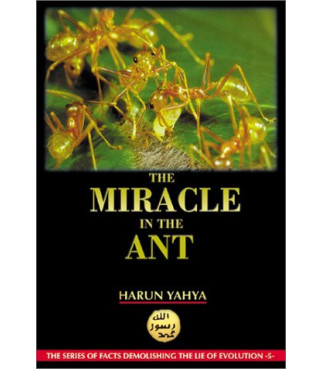 The Miracle in the Ant by Harun Yahya - Paperback