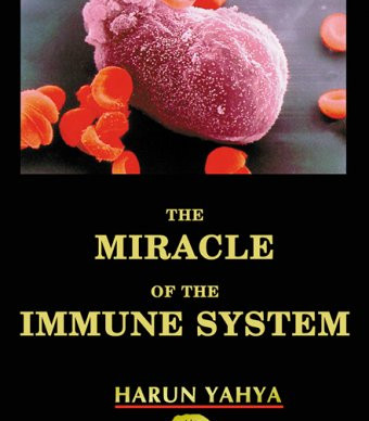 The Miracle in the Immune System by Harun Yahya- Paperback