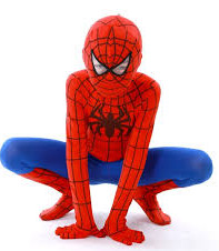 Spiderman Costume