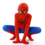 Spiderman Costume