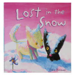 Lost In The Snow
